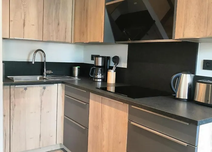 Magnifique Moderne A Pour 4 Pers Avec Wifi Et Parking - Fr-1-545-9 Apartment